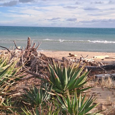 Littoral Biterrois Narbonne Plage