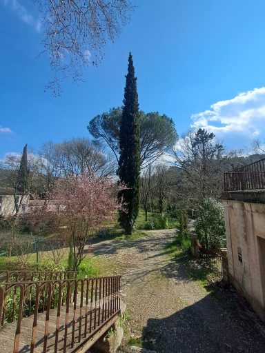 Vue sur le parc de Villeneuvette