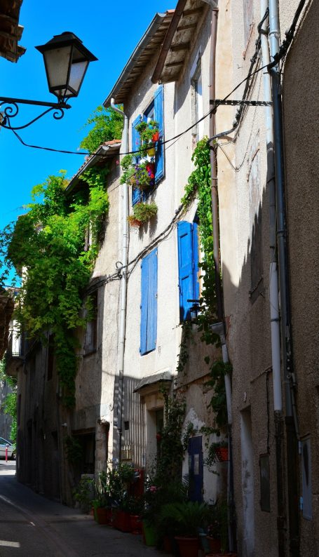Ruelle pittoresque avec des maisons aux volets bleus et des plantes grimpantes.